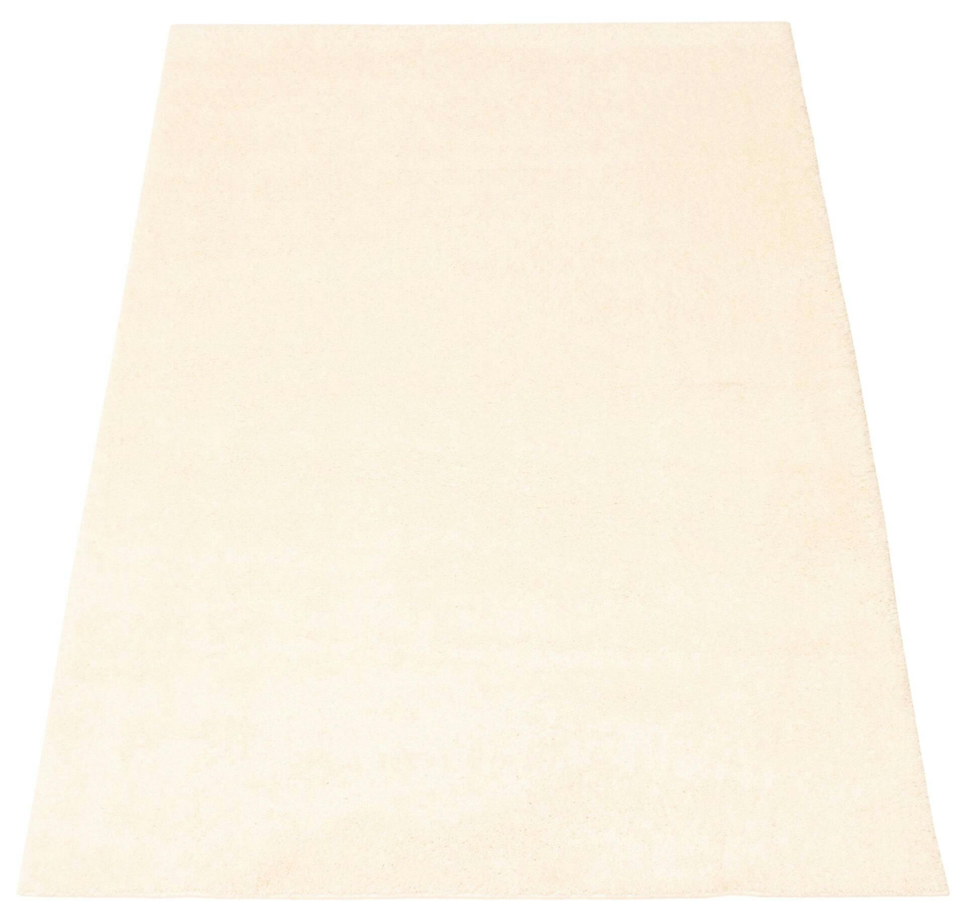 ECARPET Bellamy Indoor Area Shag Rug, Ivory, Assorted Sizes