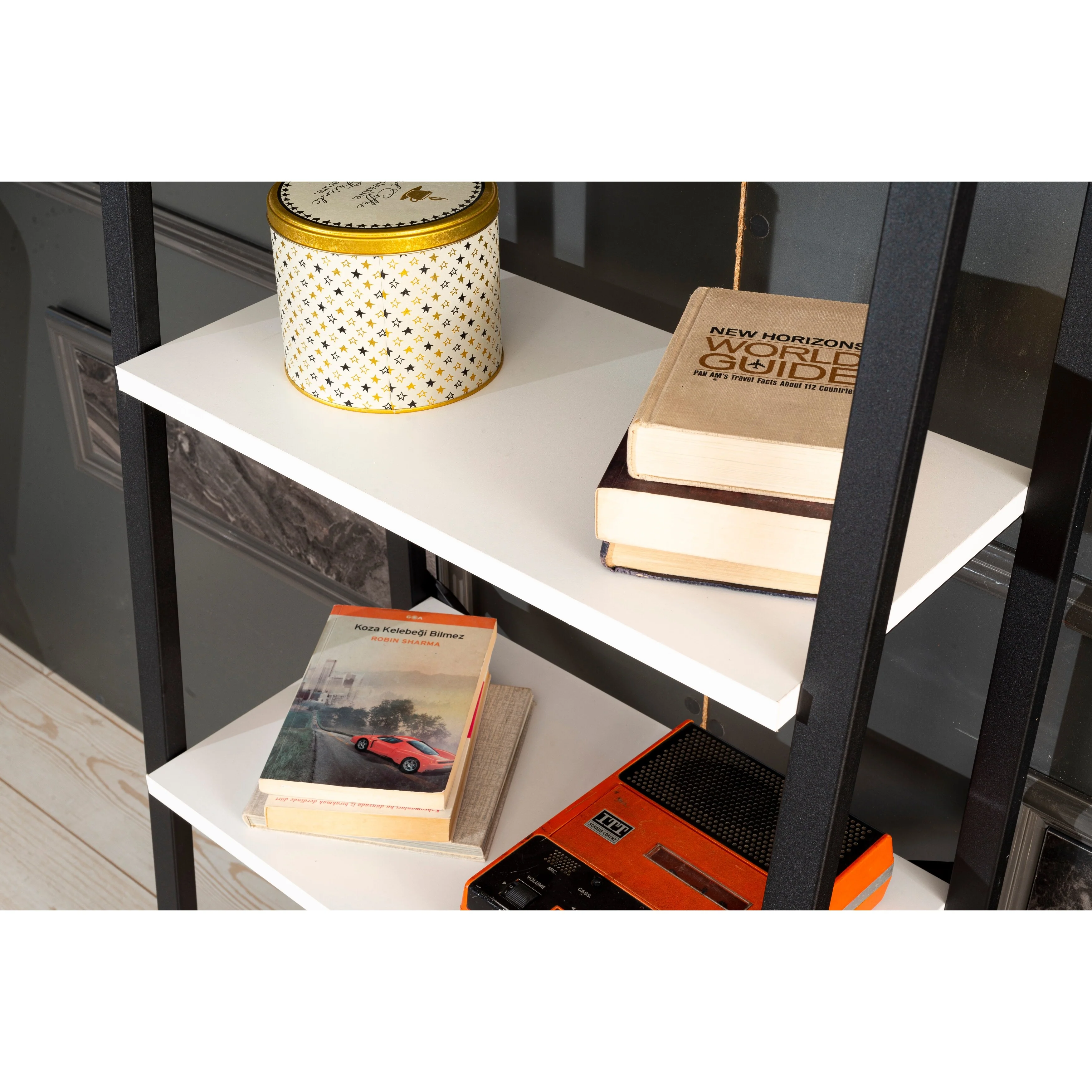 Leon 5 Tier Modern Ladder Bookshelf Organizers, Metal Frame Bookshelf