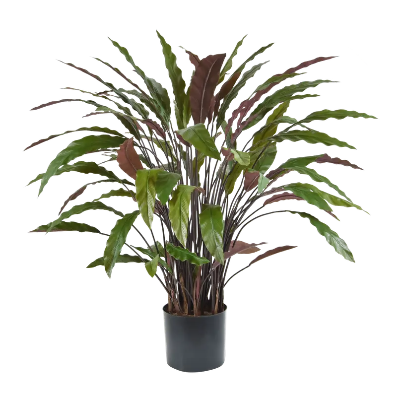 Kunstpflanze Calathea