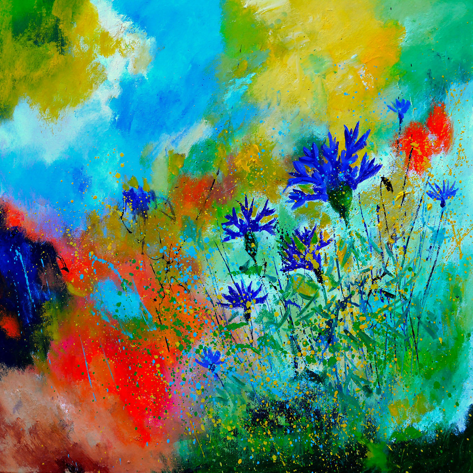 - Tableau bleuets des champs imprimé sur toile 100x100cm