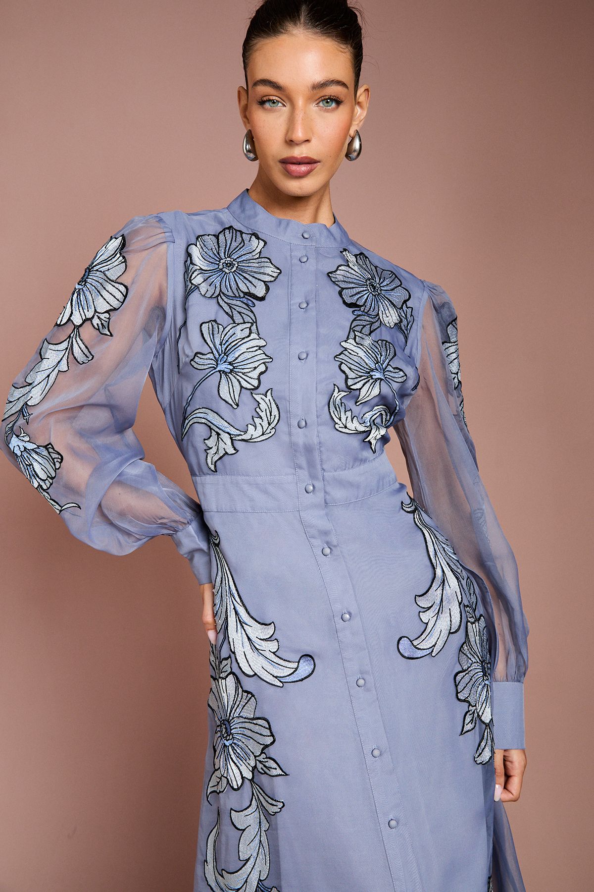 Coast Placement Embroidered Long Sleeve Midi Dress