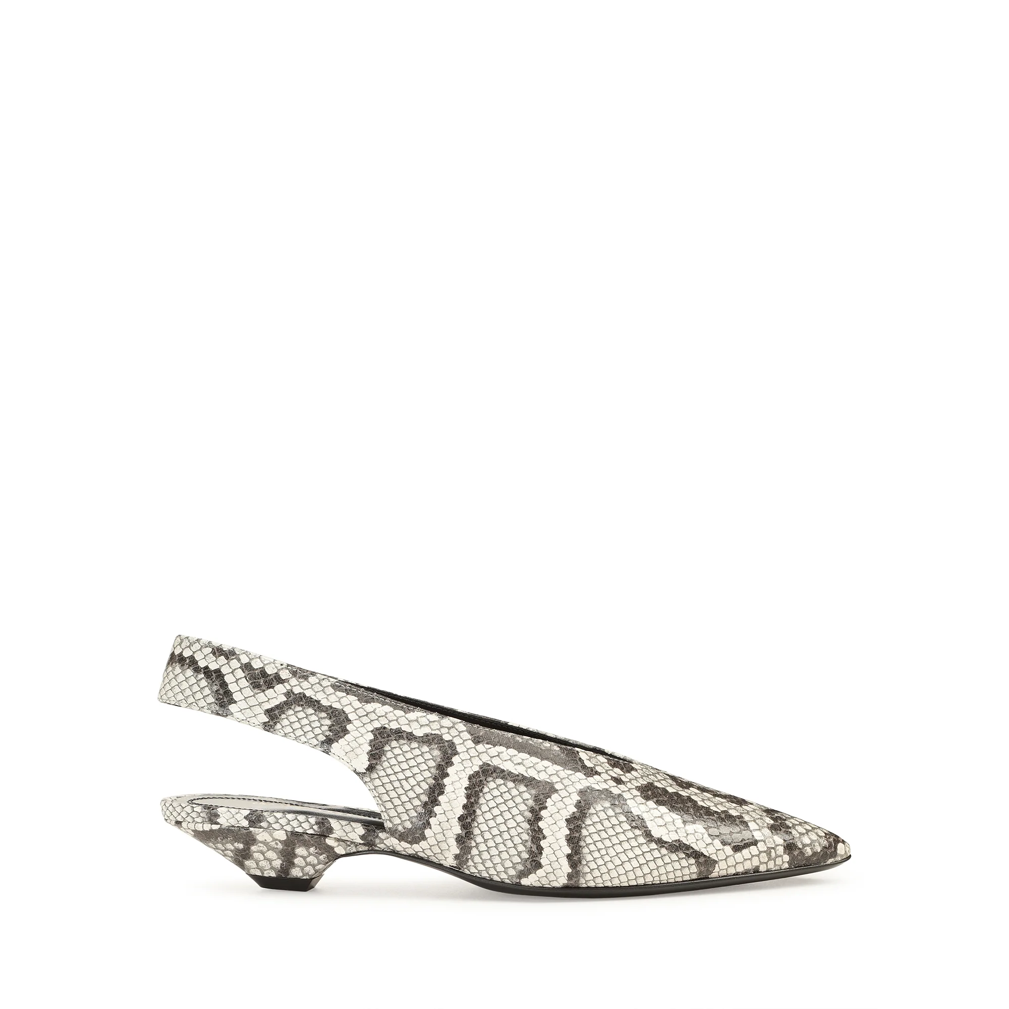 Beak Slingback - Roccia