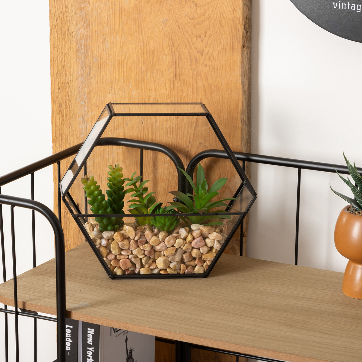 Artificial terrarium "Pia" Black, H.20 cm