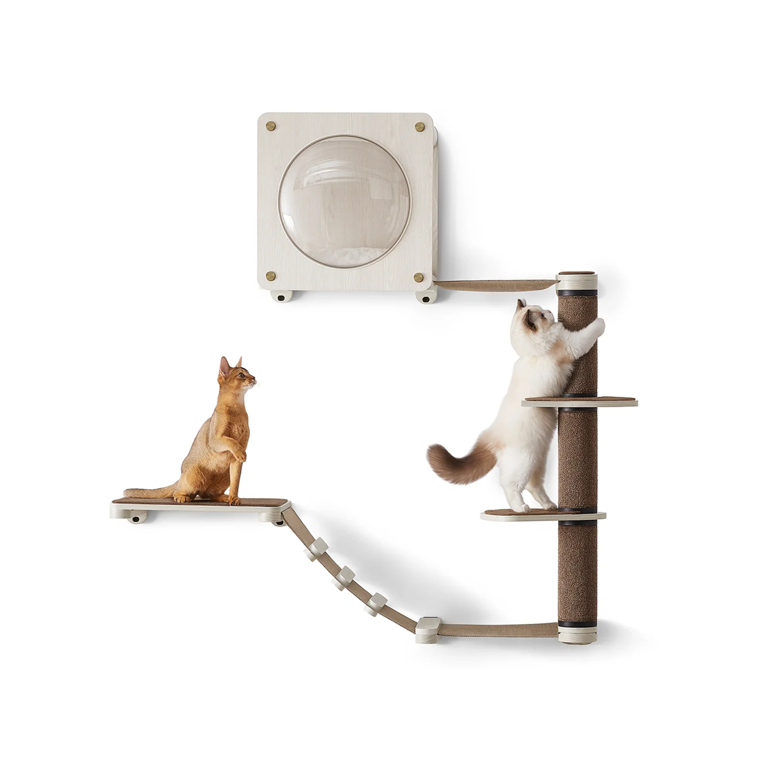 Oasis Enemble de 5 meubles pour chat muraux
