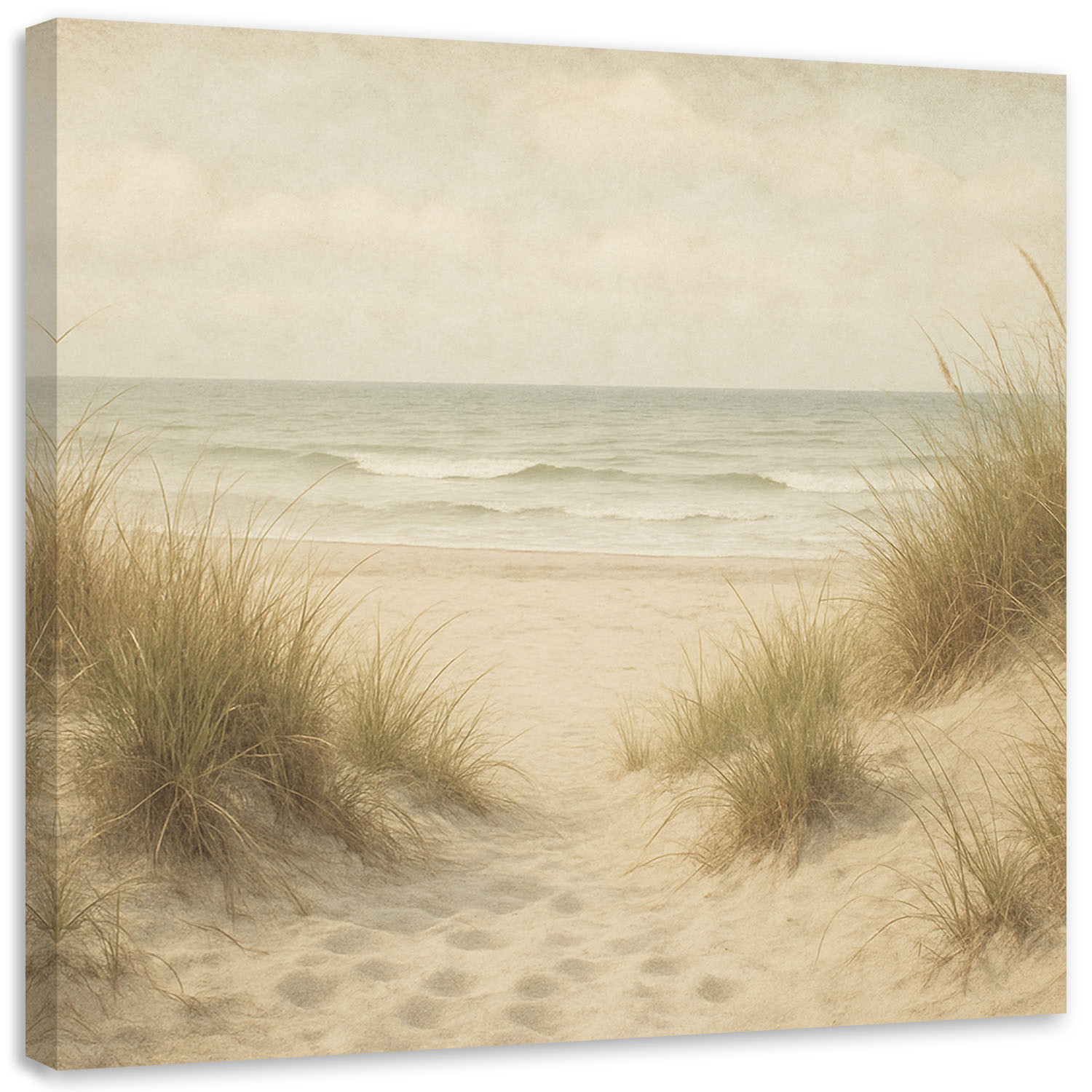 Obraz do salonu sypialni w stylu vintage, Wydmy Plaża Krajobraz 20x20