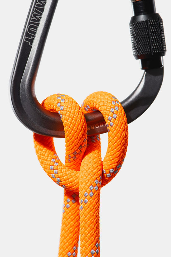 Mammut 9.5 Alpine Dry Rope 50 Meter Touw