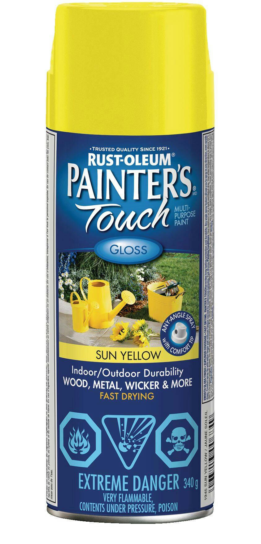 Rust-Oleum® Painter's Touch Interior/Exterior Multi-Purpose Aerosol Spray Paint, 340-g