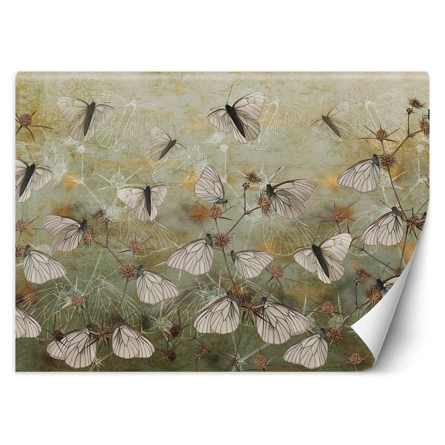 Feeby Fototapeta, Motyle na tle starego muru 150x105