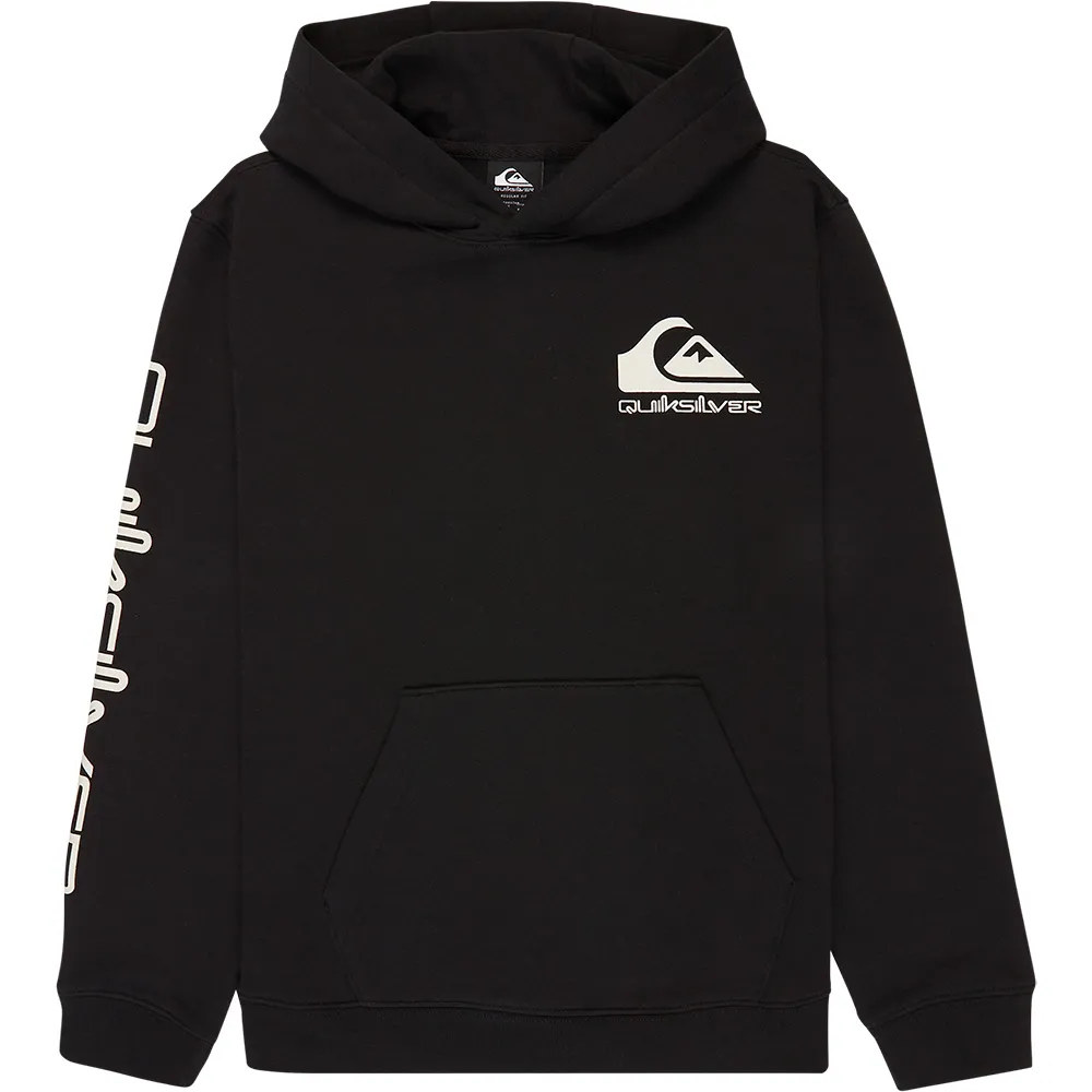 Quiksilver Omni Logo hoodie