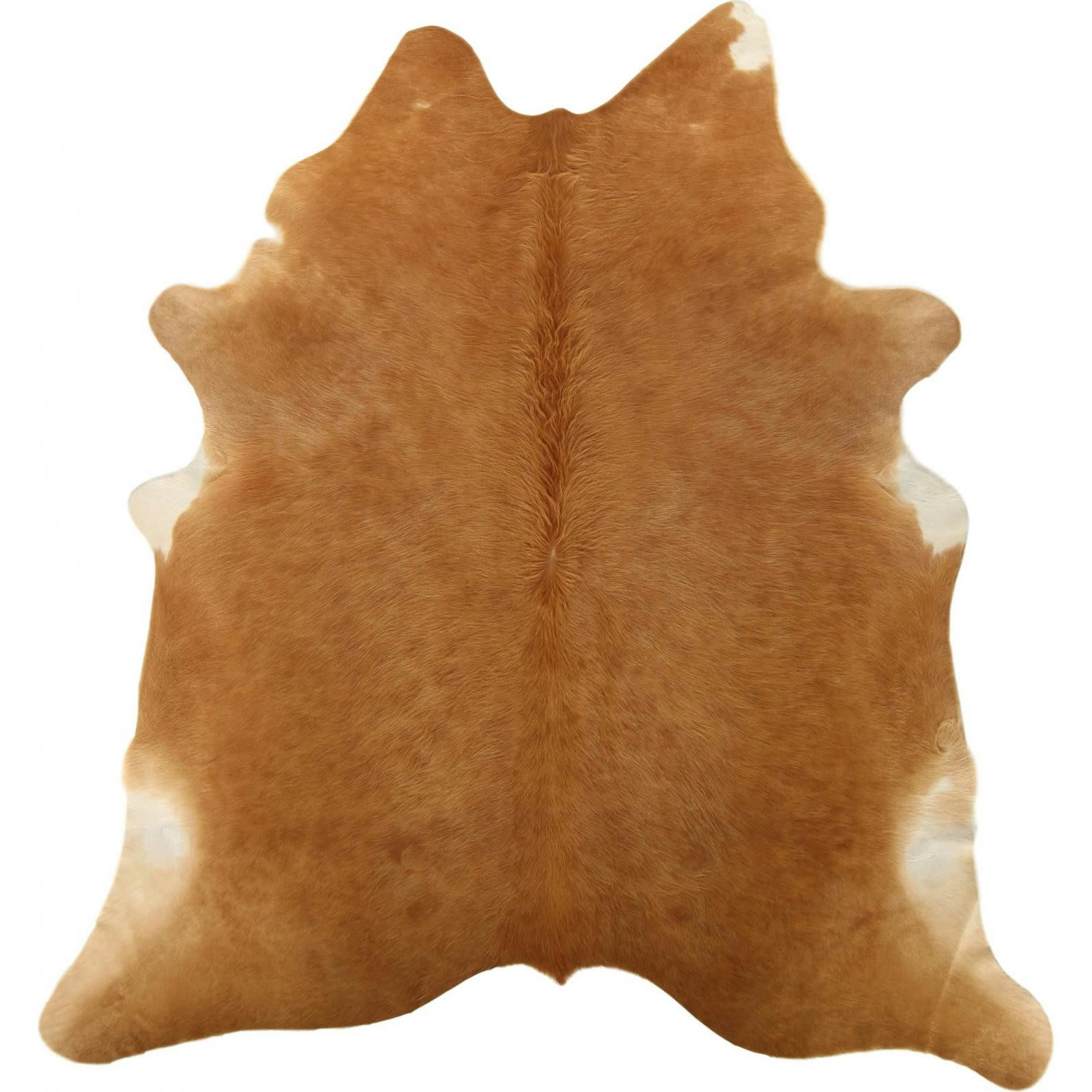 EXOTIC - Tapis peau naturelle Cuir Marron