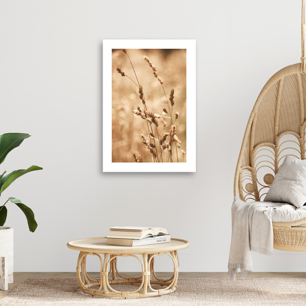 Feeby Obraz na płótnie, Trawa Natura Łąka 40x60