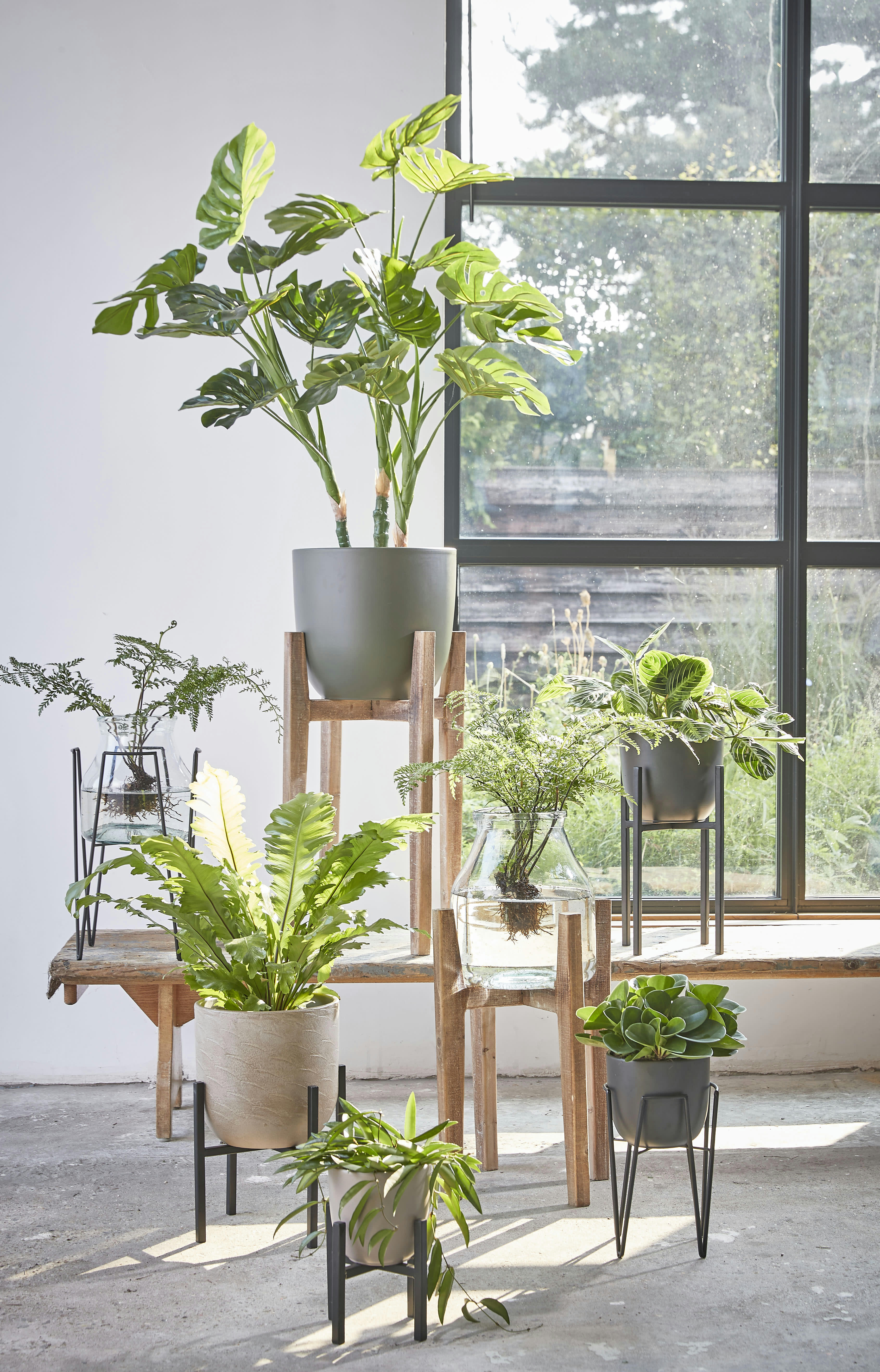 ASCOT - Porte-plants en bois marron clair H60