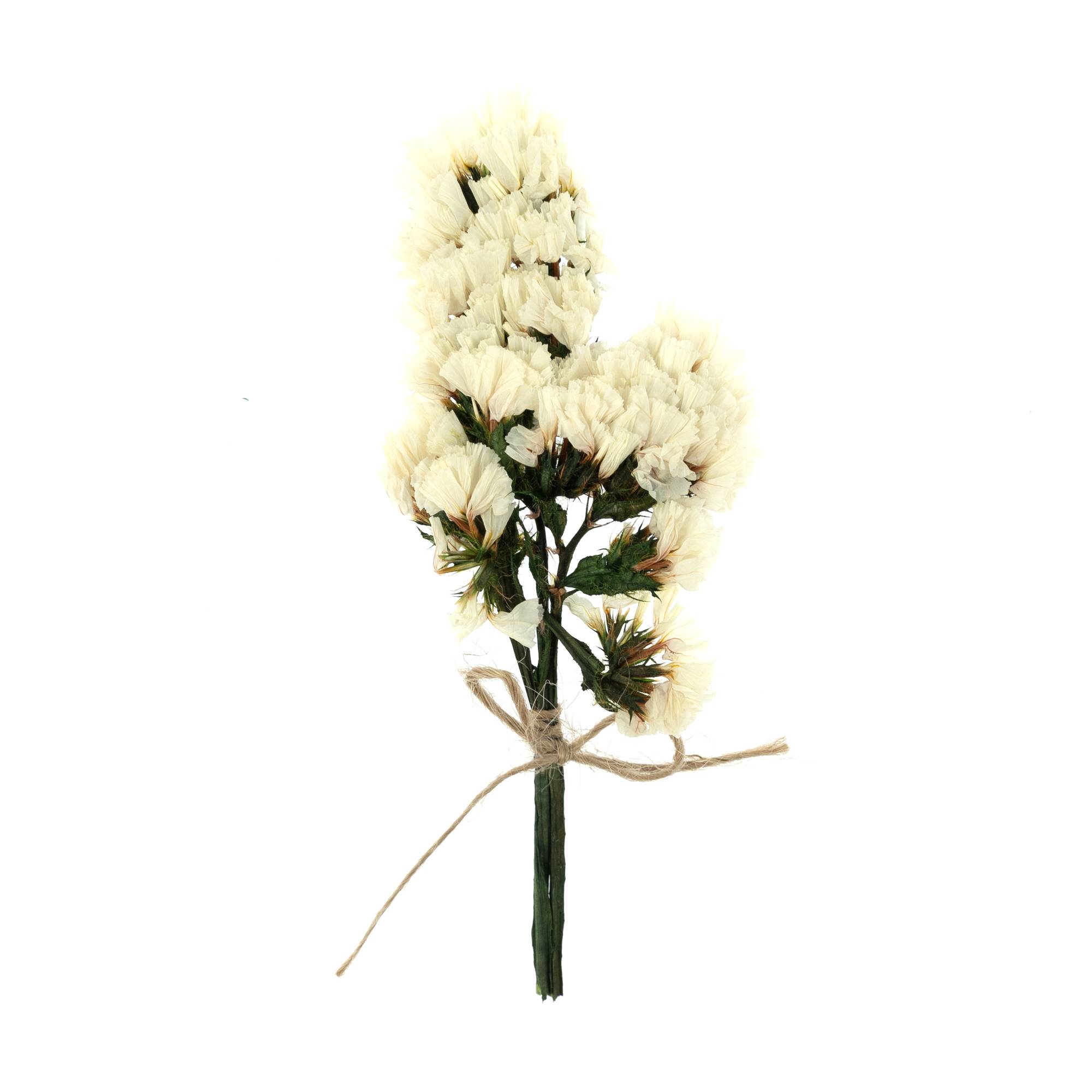 White Dried Forget Me Not Flower Picks 13cm