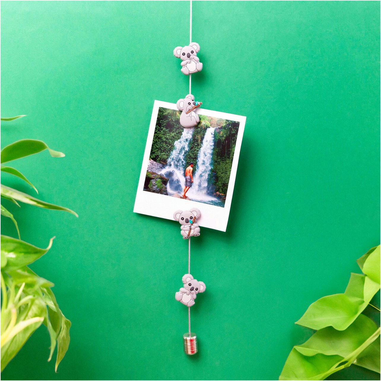 - Câble porte photos et magnets