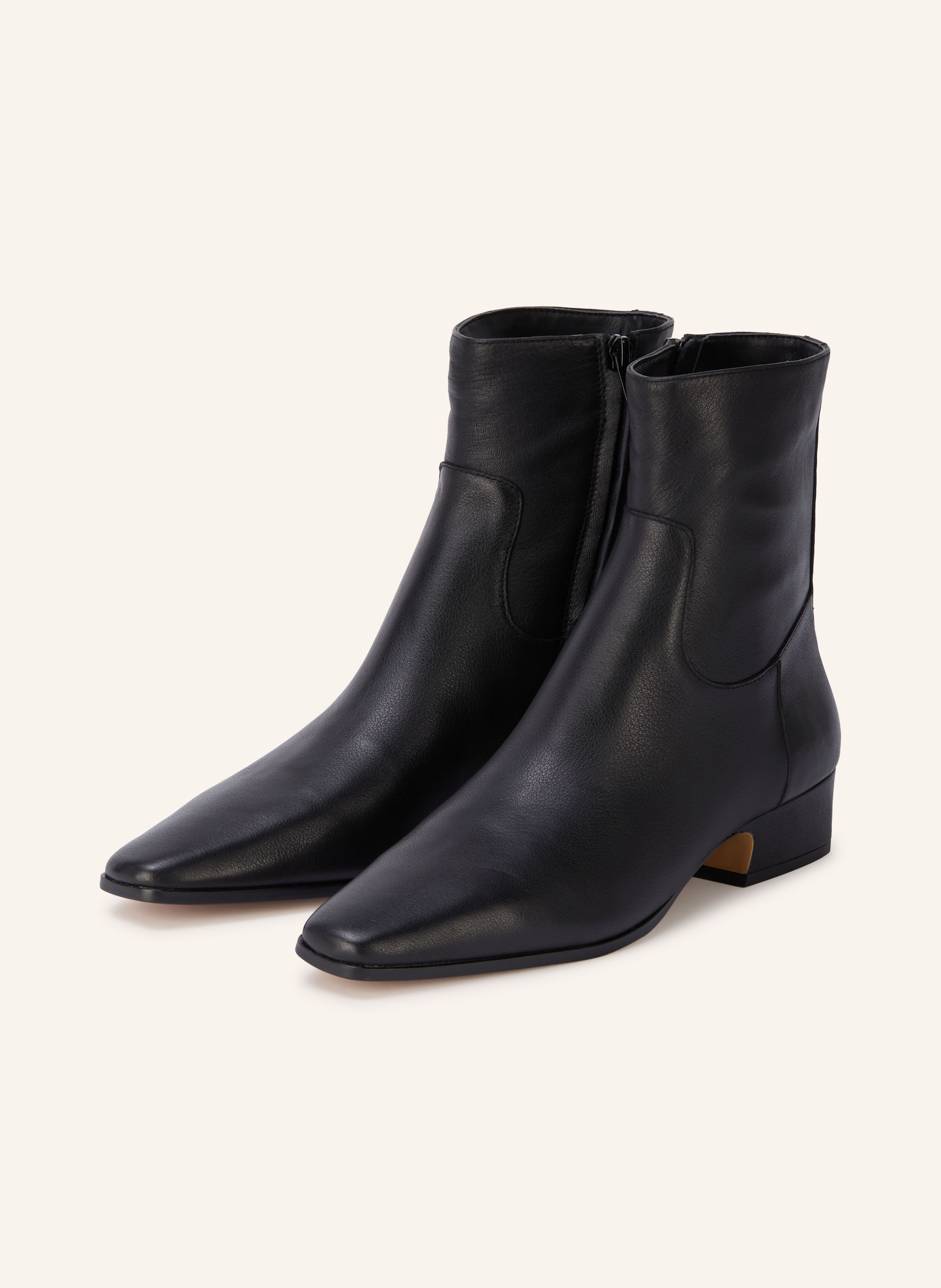 STEVE MADDEN Stiefeletten DUSTY