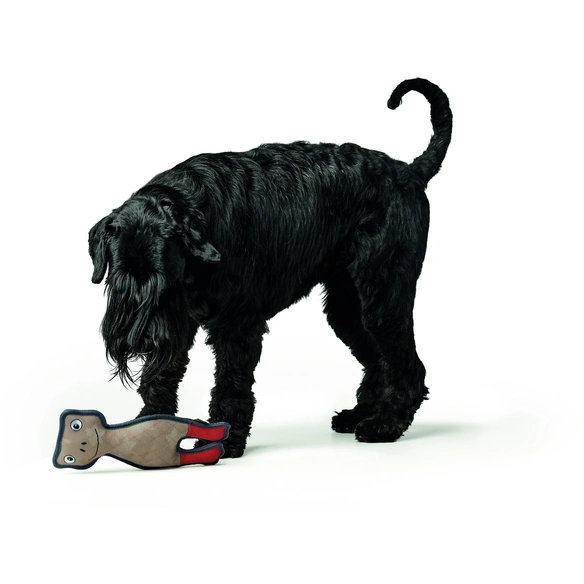 Hundespielzeug, mehrfarbig
