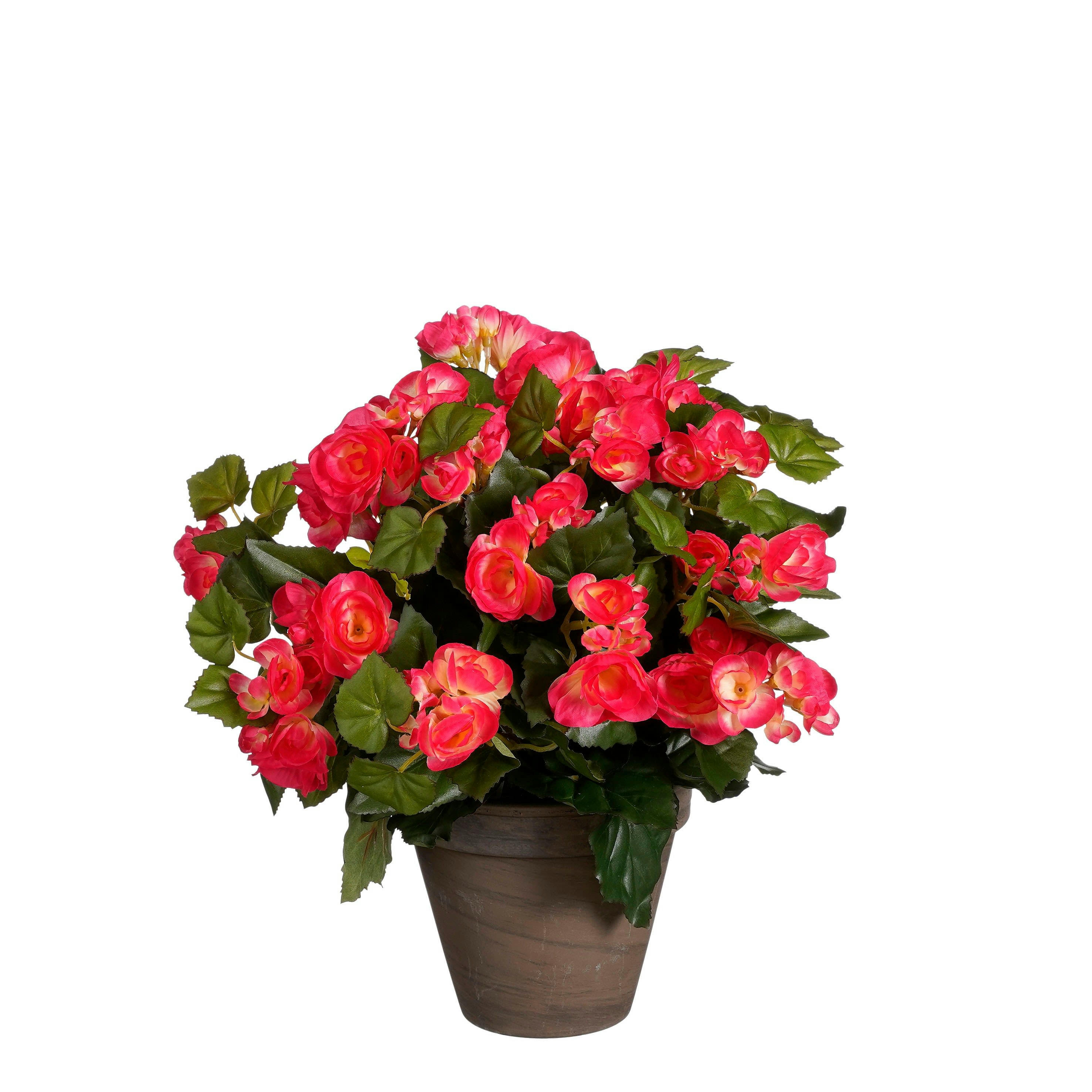 - Bégonia artificielle rose foncé en pot H37