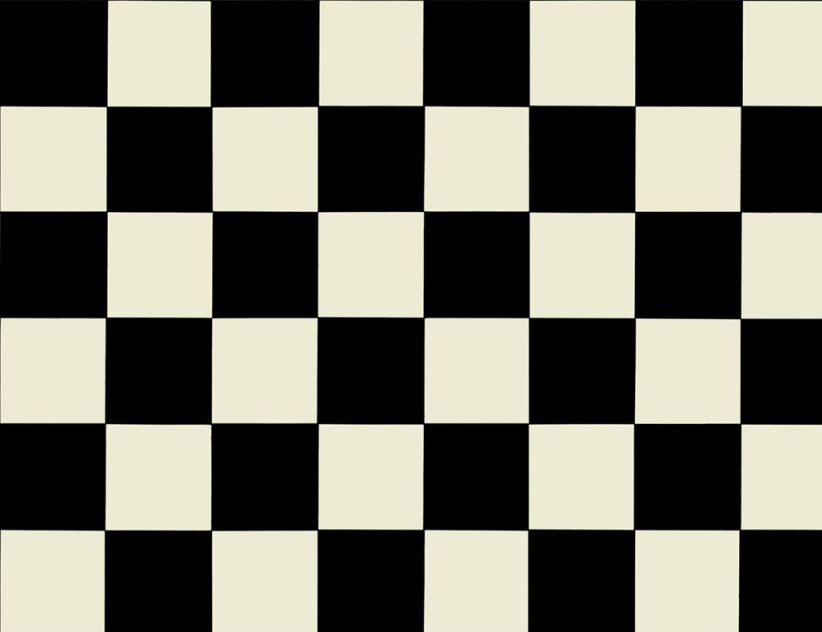 PVC Altenburg Schwarz-Weiß