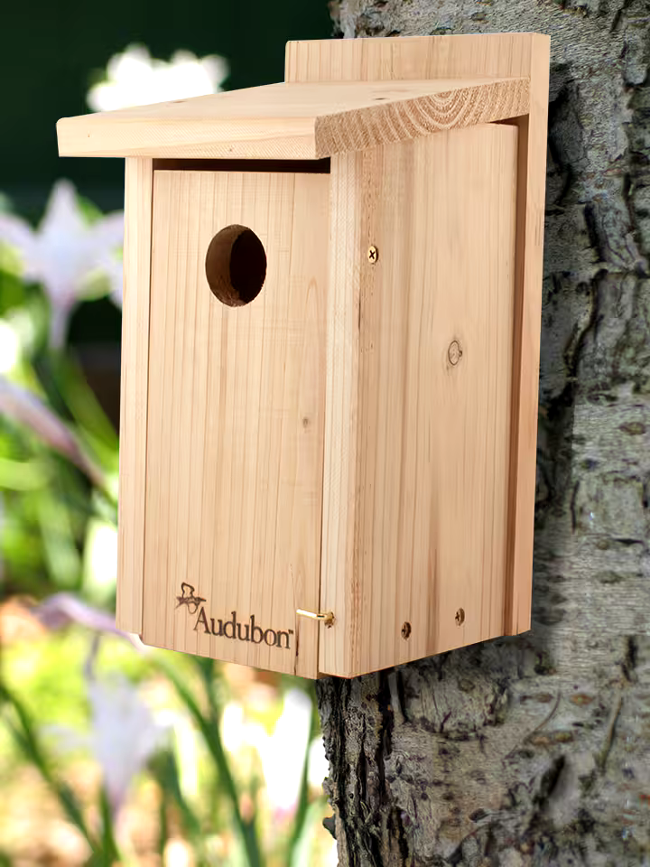 Cedar Bluebird House