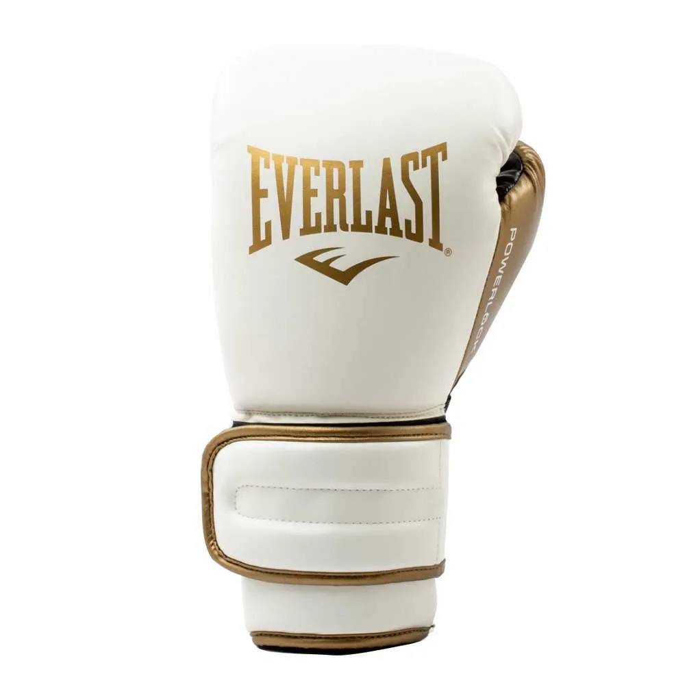 Everlast Powerlock 2r artificial leather boxing gloves