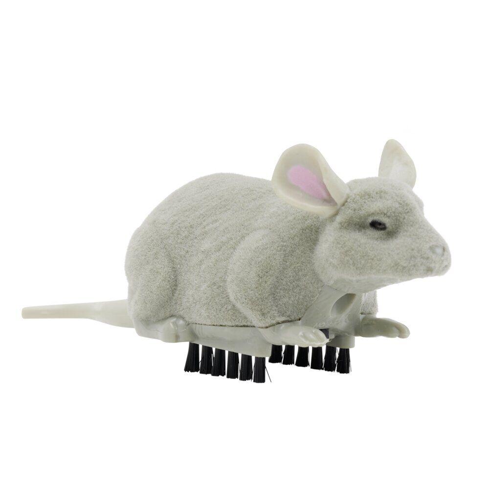 Insecte animé farce et attrape L10cm (3 modèles)