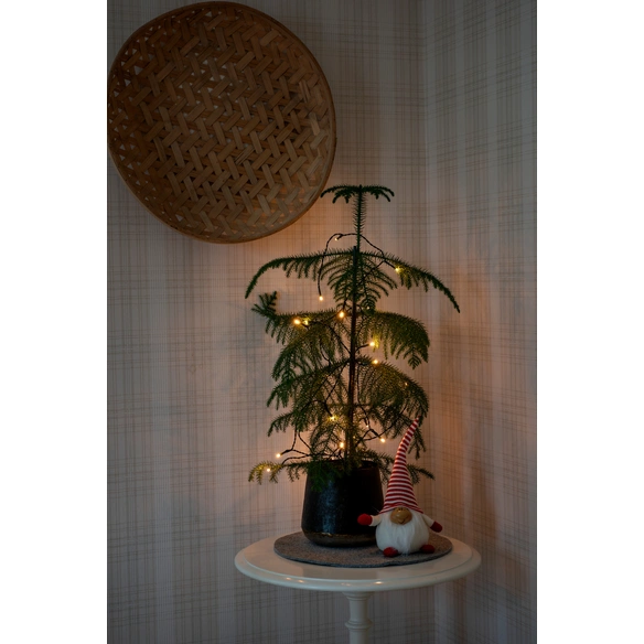 LED-Lichterkette, 185 cm, warmweiß, grün