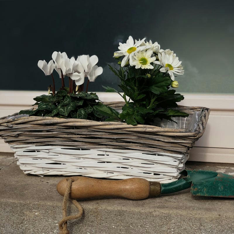 - Jardinière Osier Blanc et Gris 38 cm