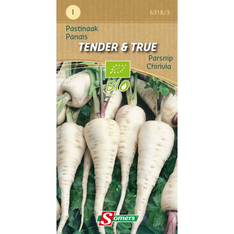 Semences de panais Tender & True Bio SOMERS