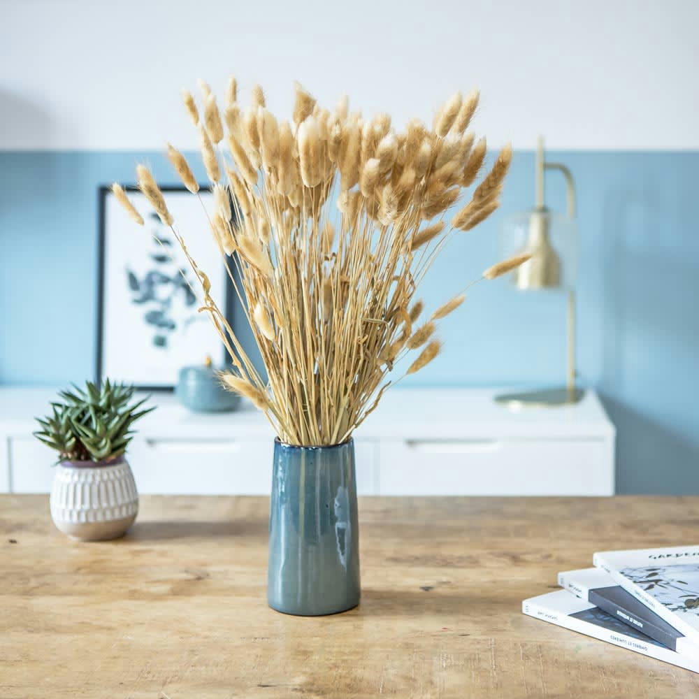 LAGURUS - Botte de fleurs séchées lagurus ovatus naturel (env. 100 tiges)