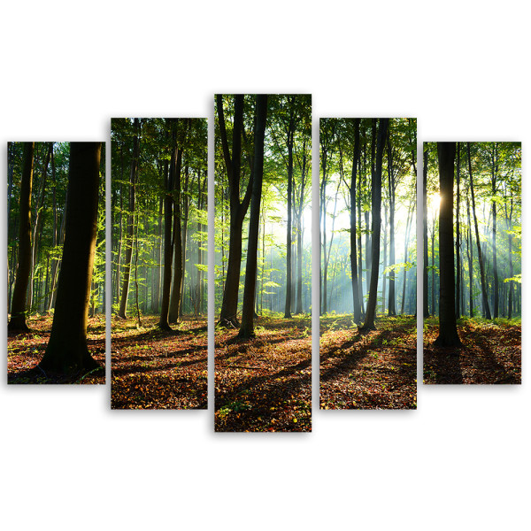 Feeby Obraz 5 częściowy na płótnie Las Zielony Natura