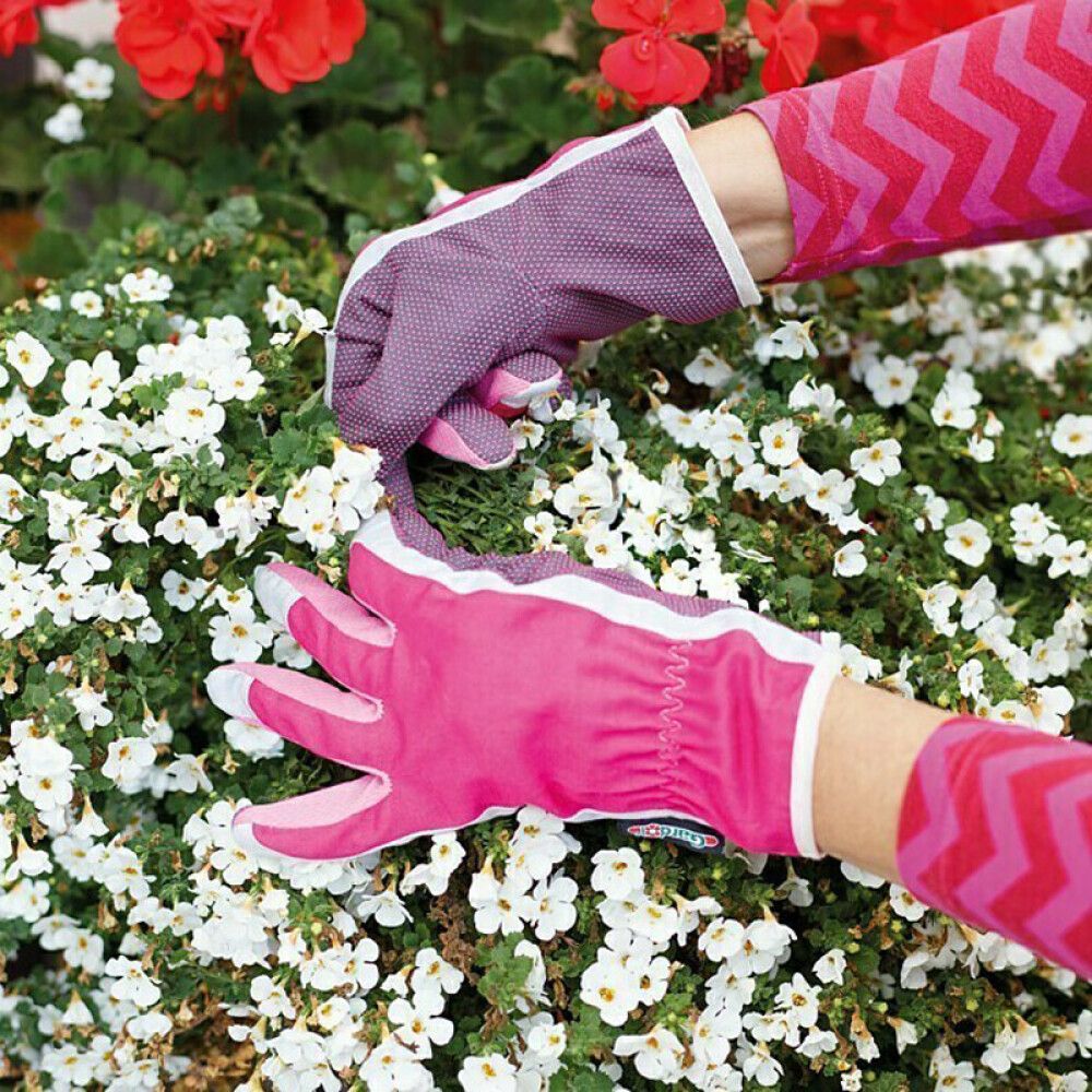 HAGEHANSKE GARDOL ROSA STRL 9