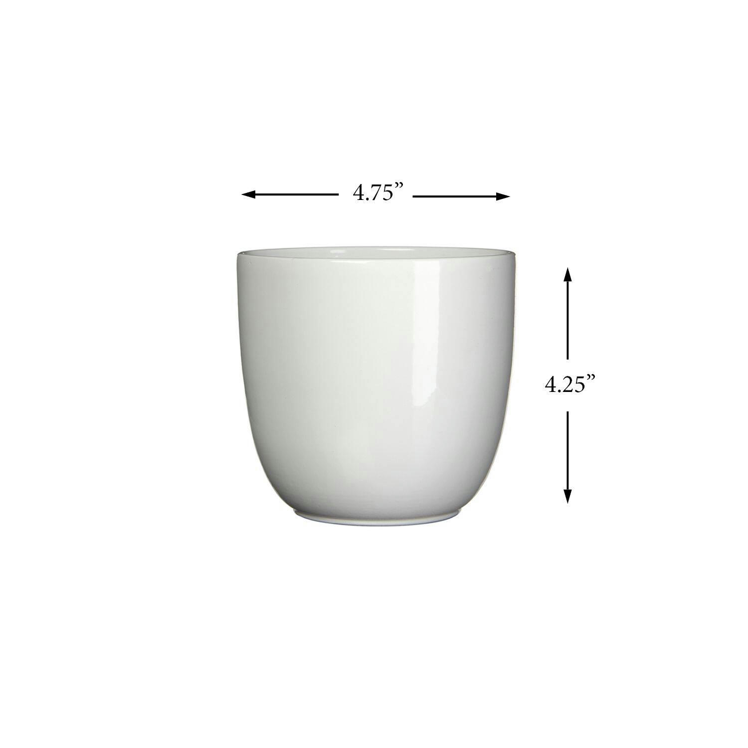 CANVAS Tusca Indoor Ceramic Round Planter, 12-cm, Assorted Colours