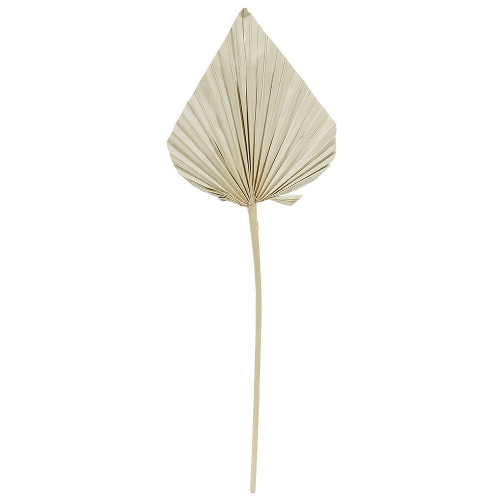 Feuille séchée