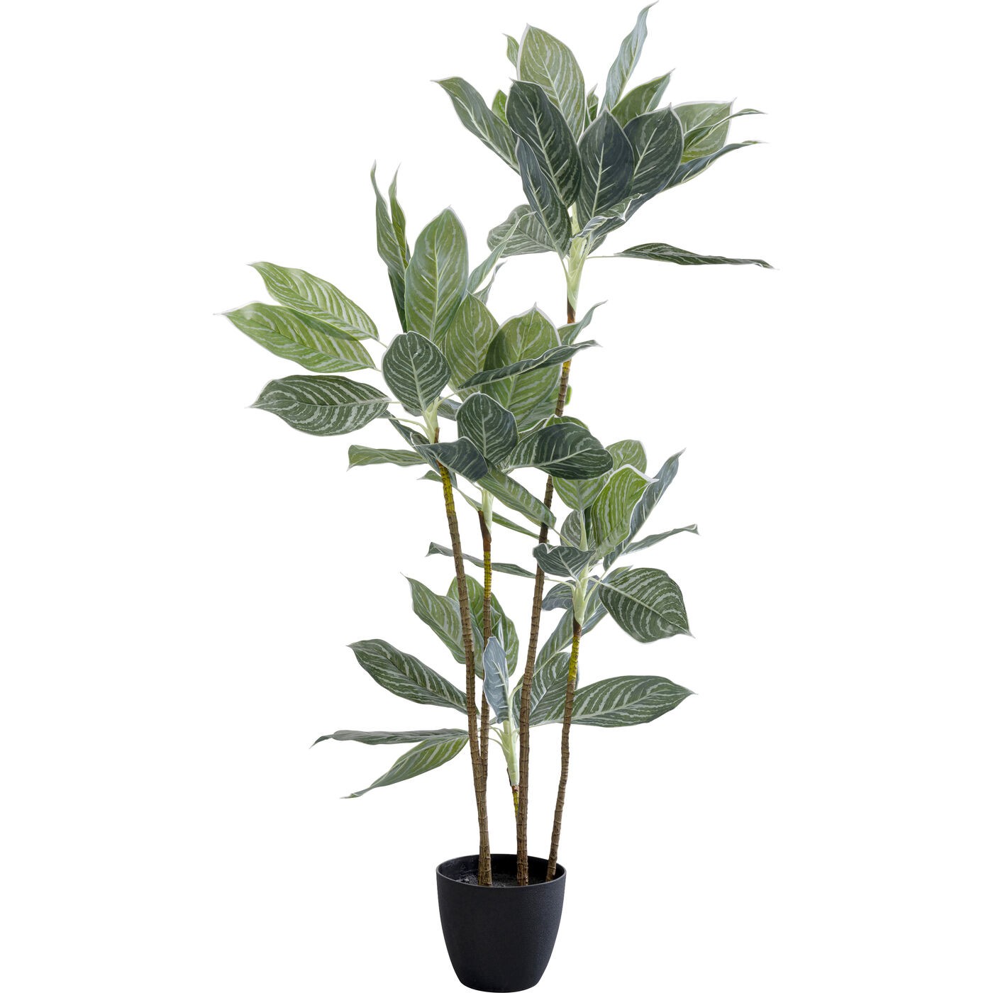 Kunstplanten Calathea 140cm Kare Design