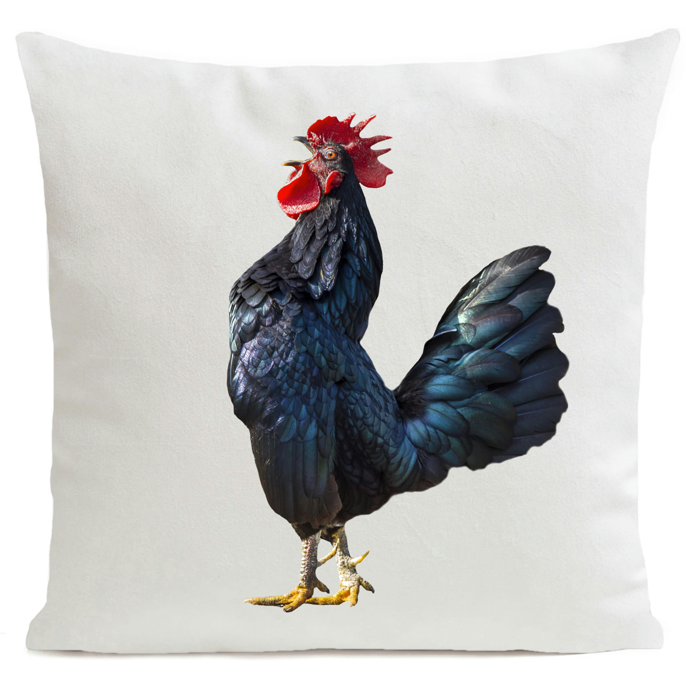 - Coussin campagne coq suédine blanc 40x40cm
