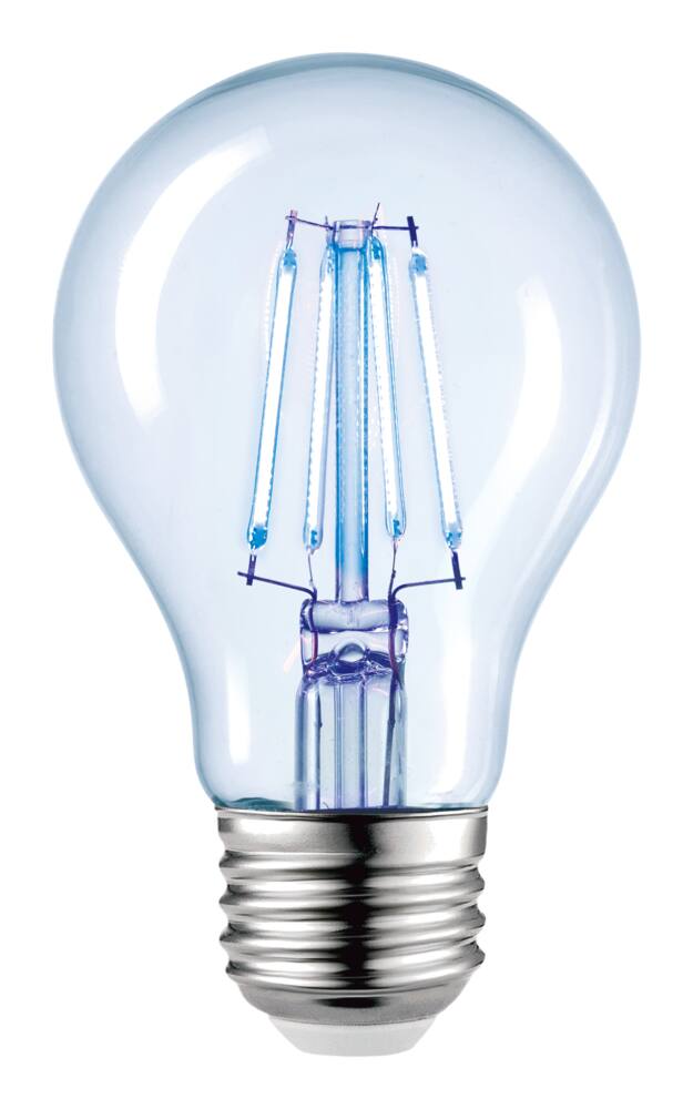 NOMA A19 E26 Base Indoor Non-Dimmable LED Light Bulb, Blue, 40W