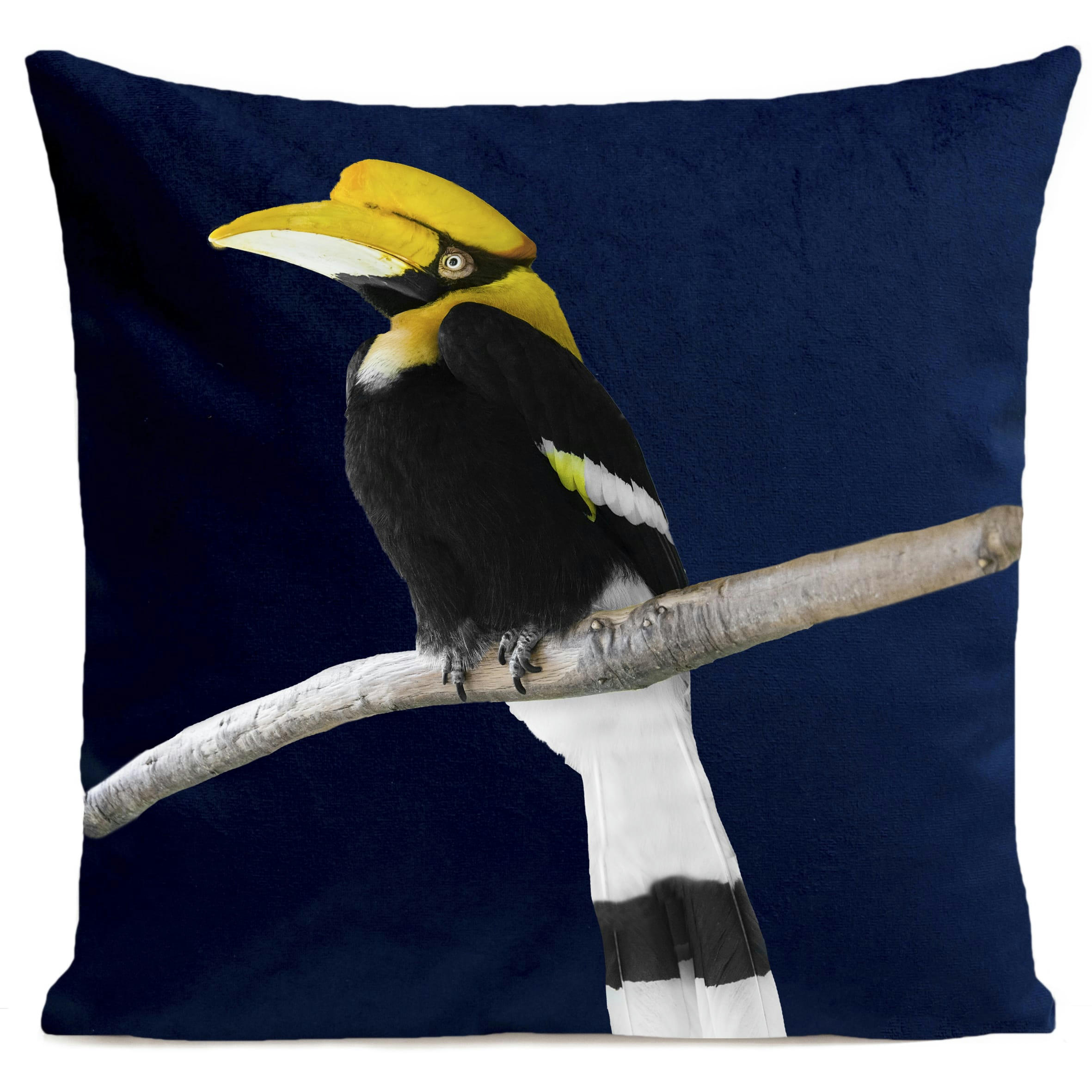 - Coussin tropical oiseau calao suédine bleu 40x40cm