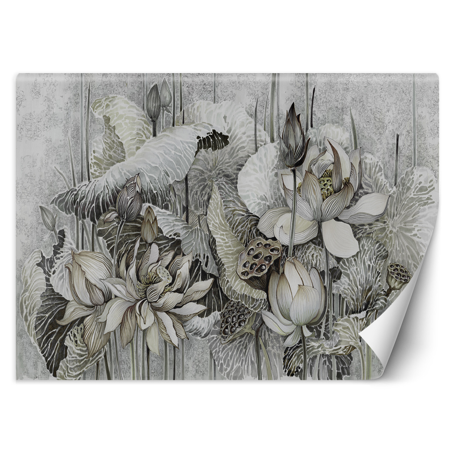 Feeby Fototapeta, Kwiat lotosu rośliny natura 150x105