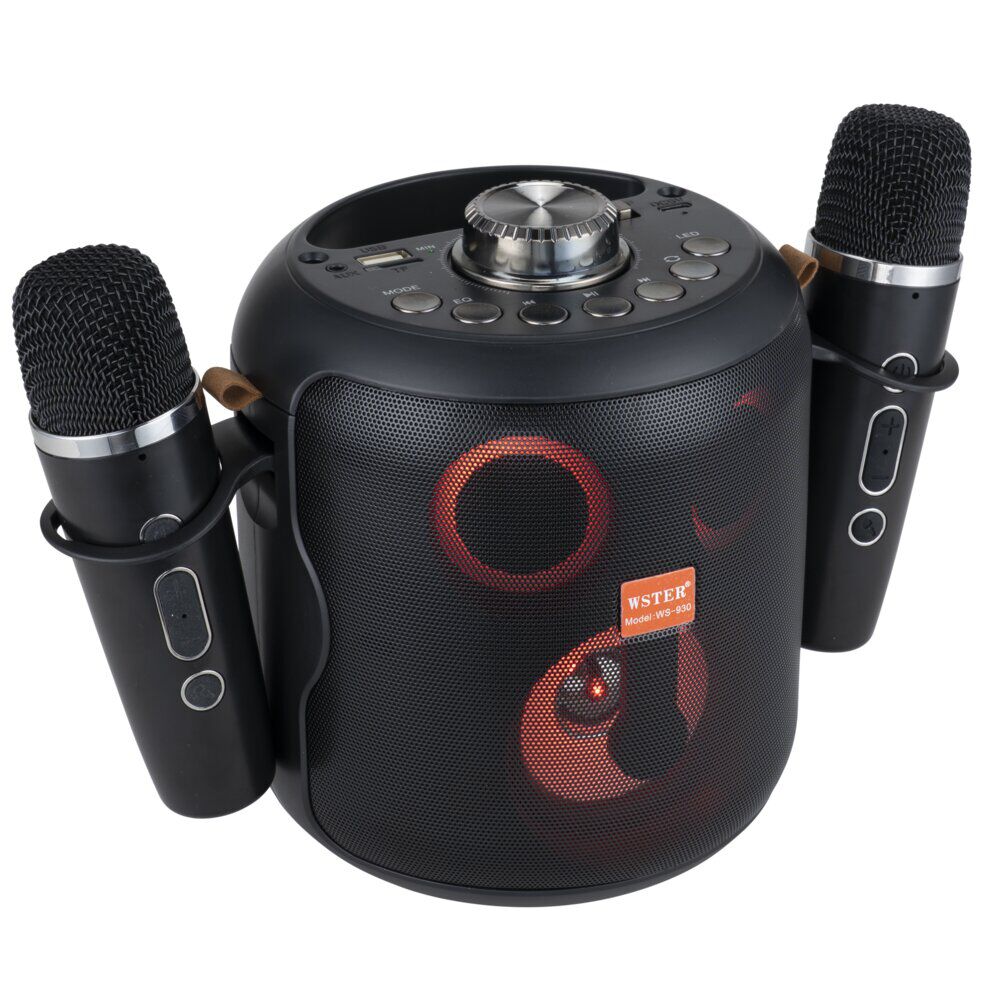 Enceinte karaoké bluetooth avec micro x2 lumineuse Homday H149cm 15W
