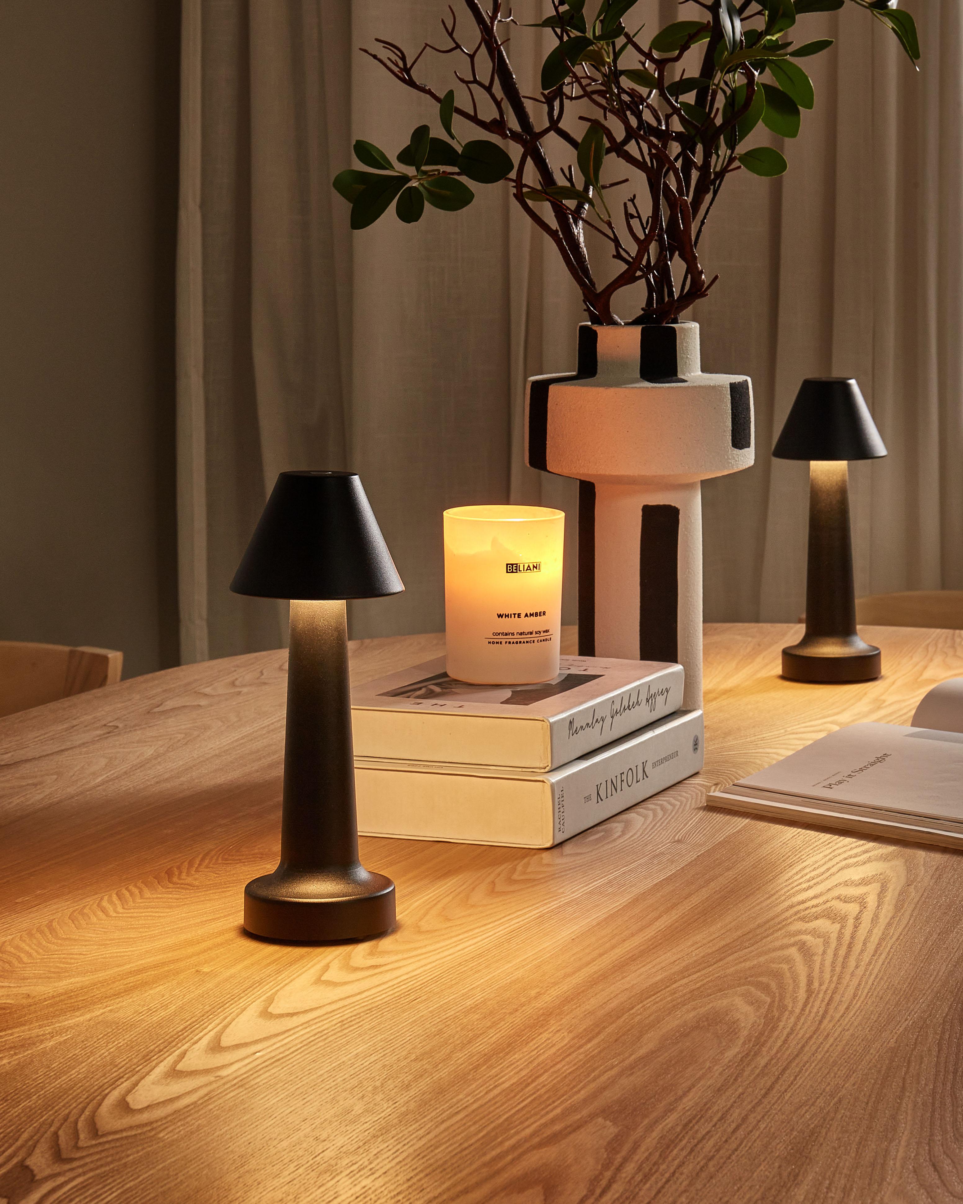 Set of 2 Wireless LED Table Lamp JOANES with Dimmer Metal Black