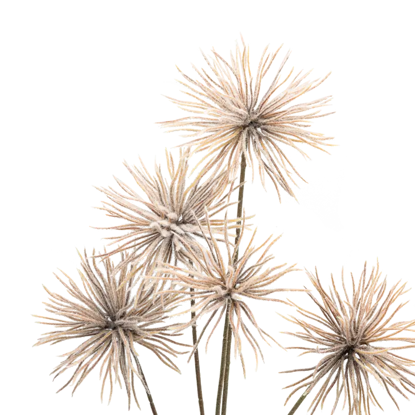 Dekozweig Dried-Grass