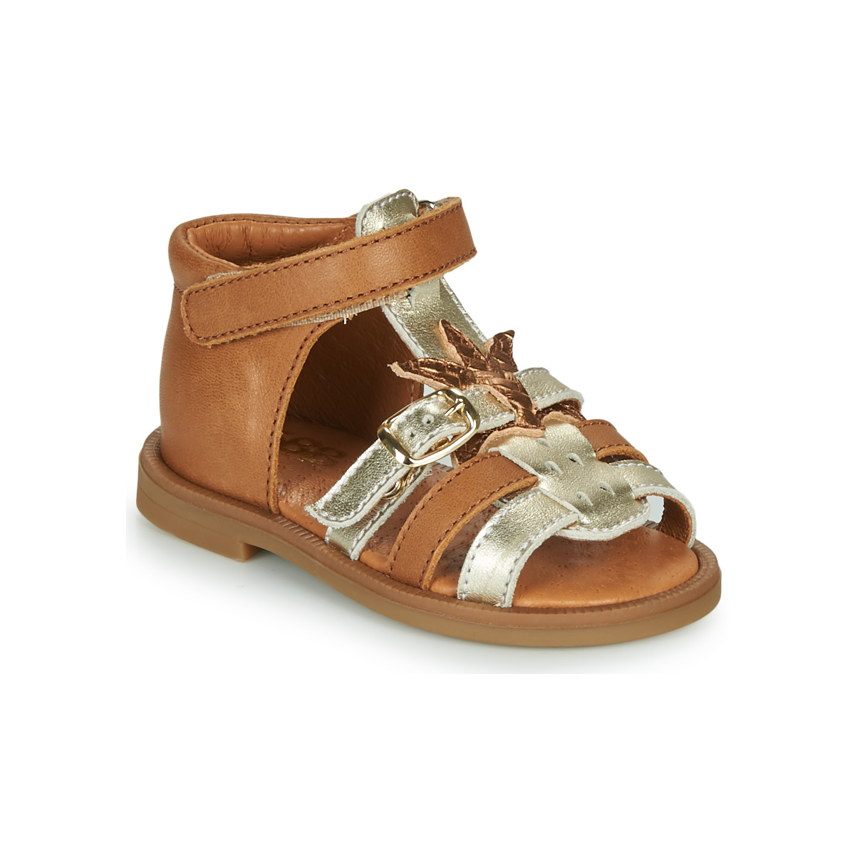 GBB - CARETTE - Brown