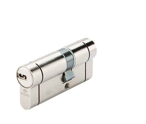 Cylindre de serrure Bricard Nexo 10 débrayable L.30 x 40mm 5 clés