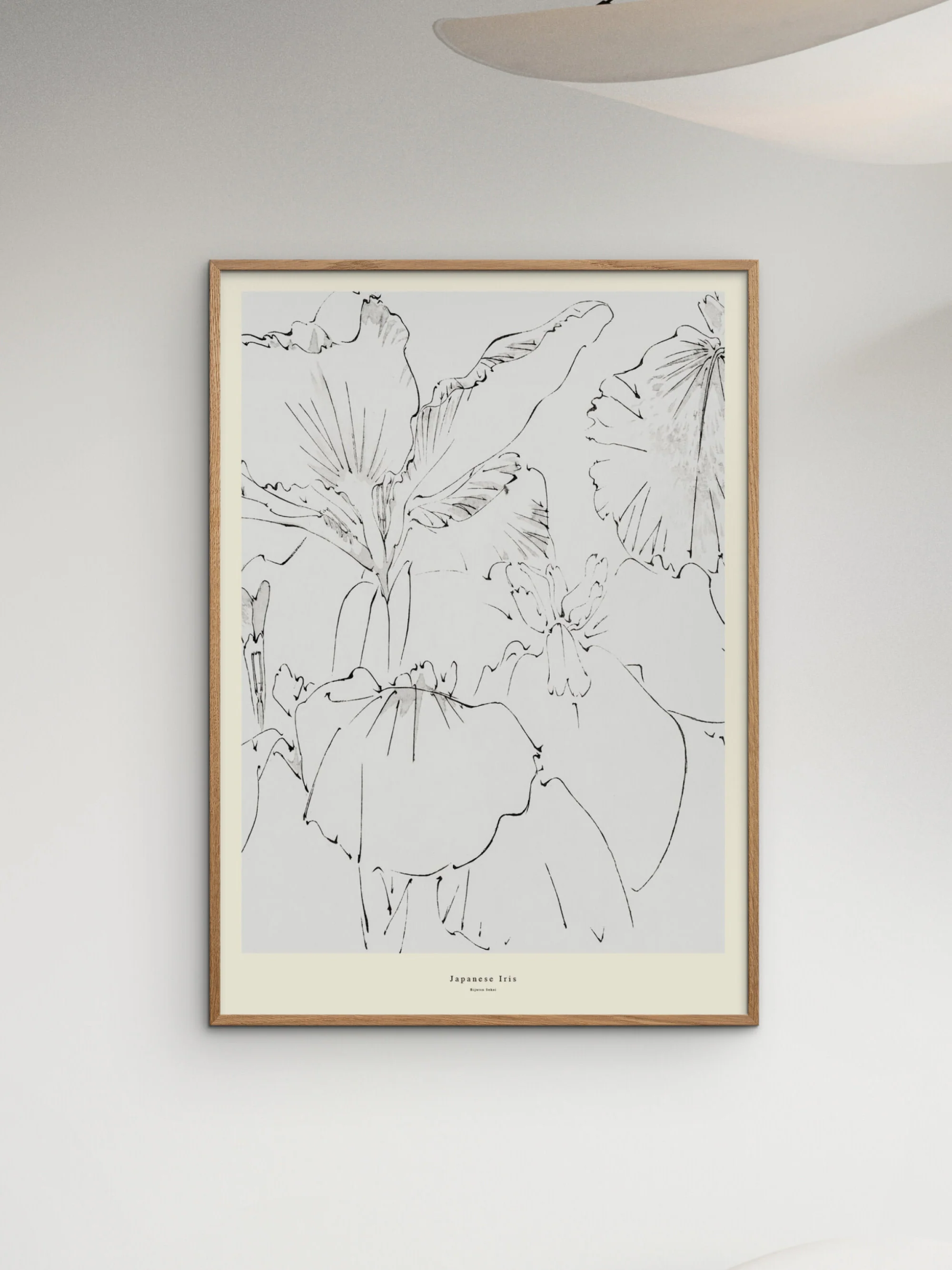 Poster Japanese Iris