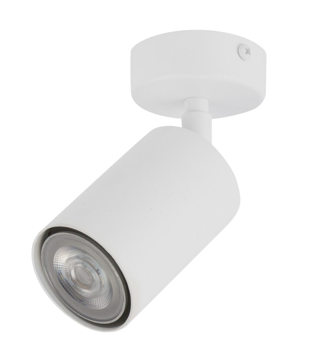Spot okrągły biały Zoom 1xGU10x25W wym:16x6x6cm IP20 Sigma Lighting