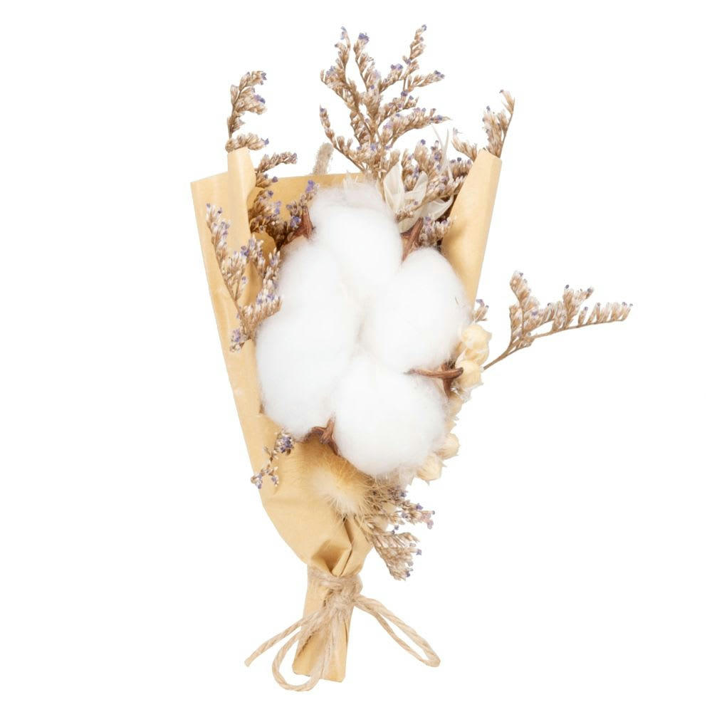- Bouquet fleurs séchées coton H13