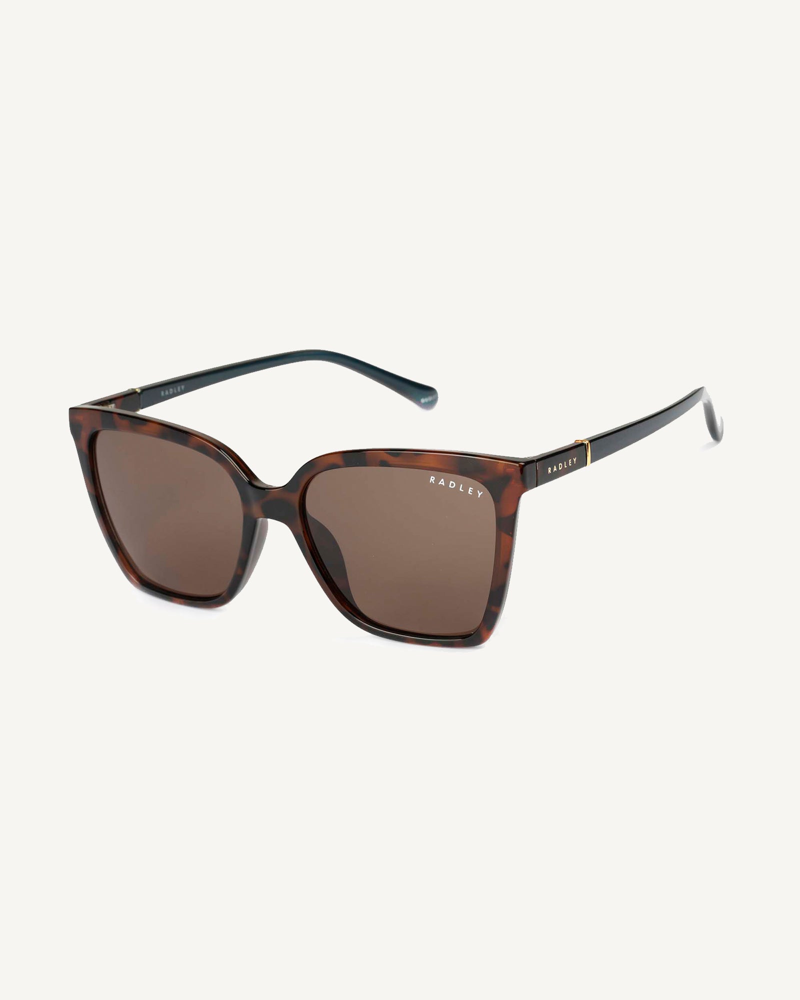 Percy Grove - Classic Angular Sunglasses