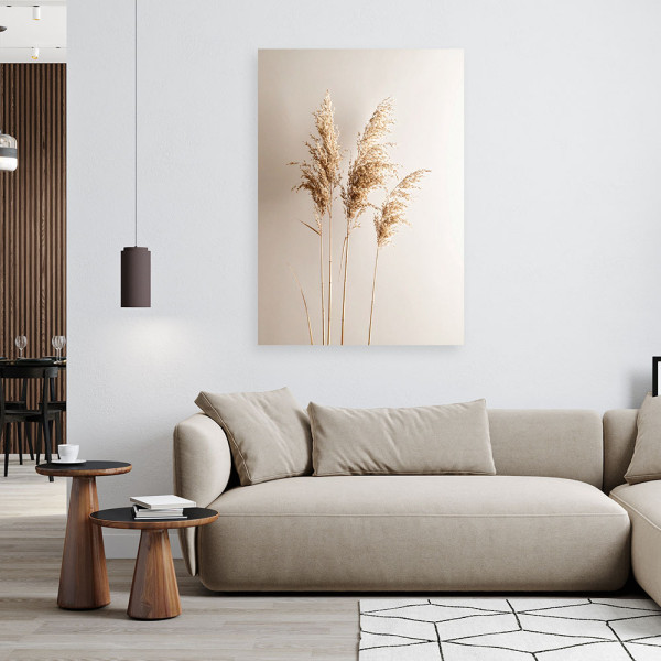 Obraz do salonu kuchni biura, Trawa pampasowa rośliny natura beżowy 20x30