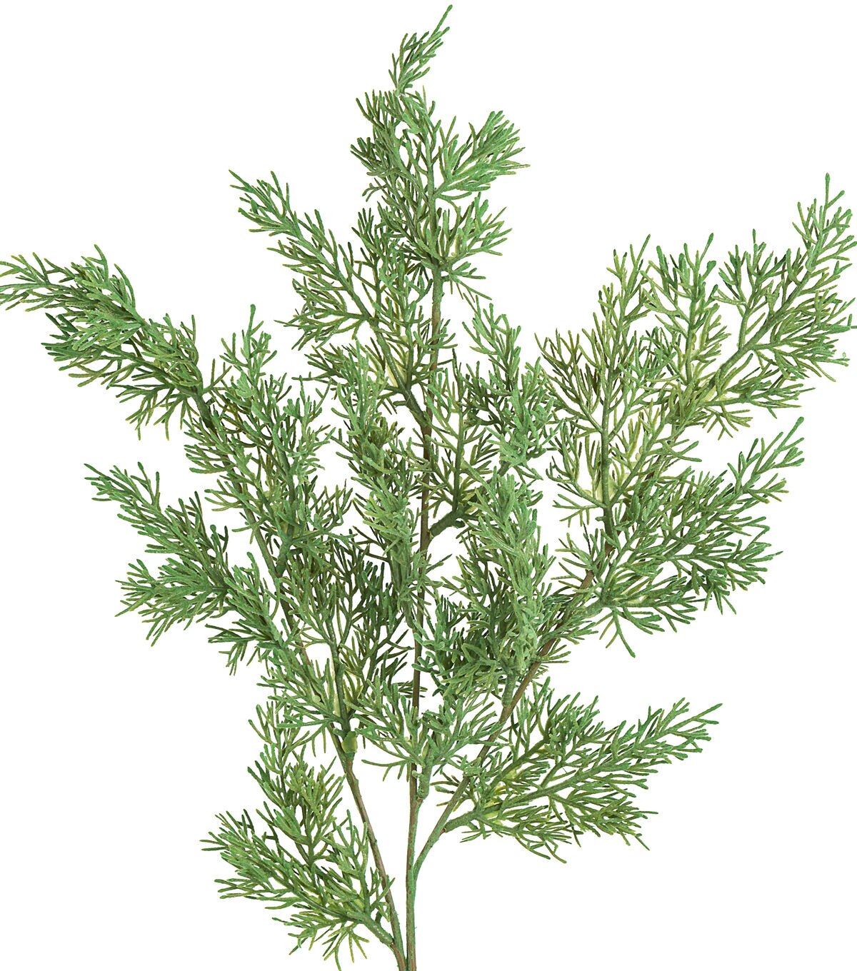 31'' Flocked Evergreen Branch by Bloom Room