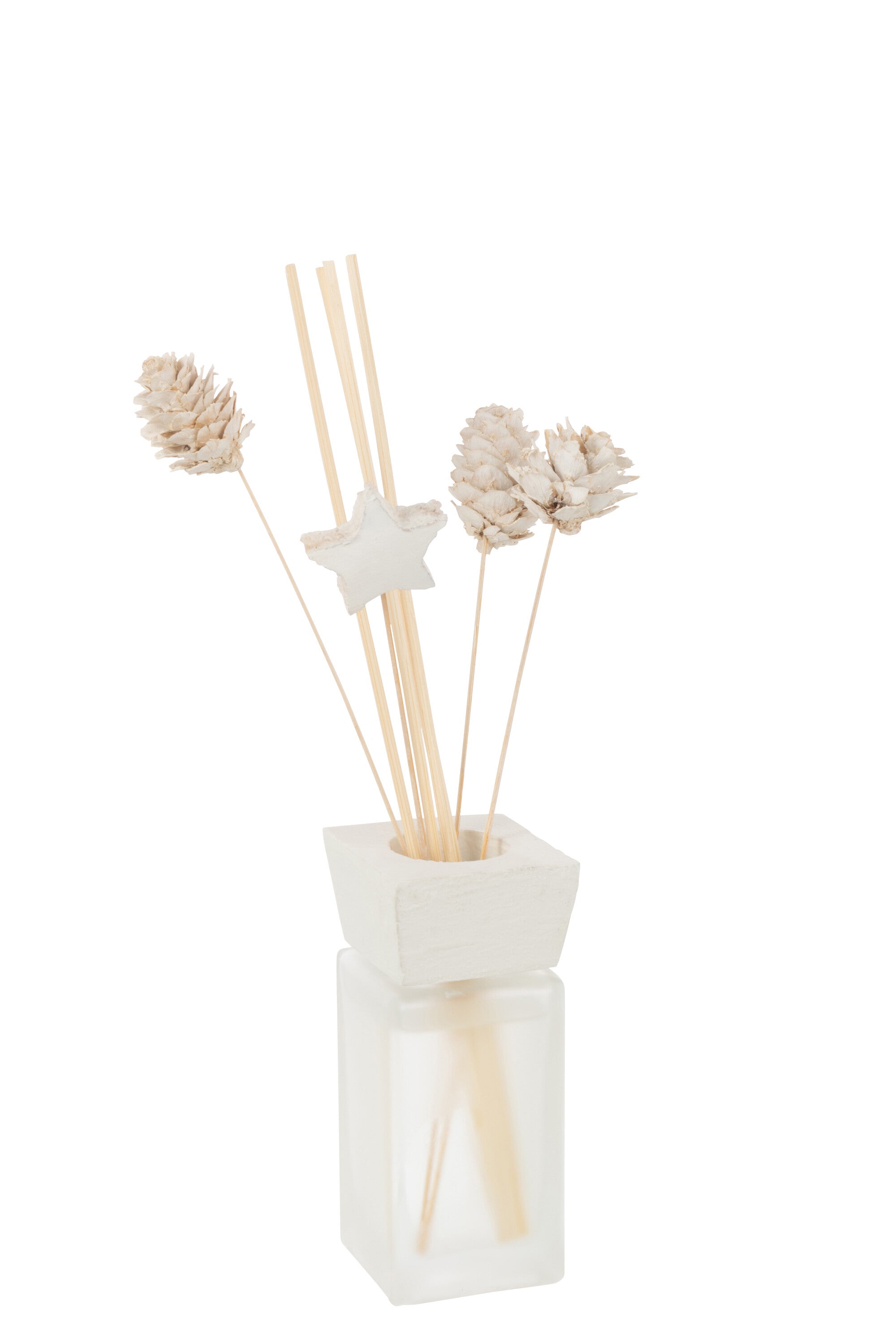 J-Line geurverspreider Den Eucalyptus droogbloemen - riet -